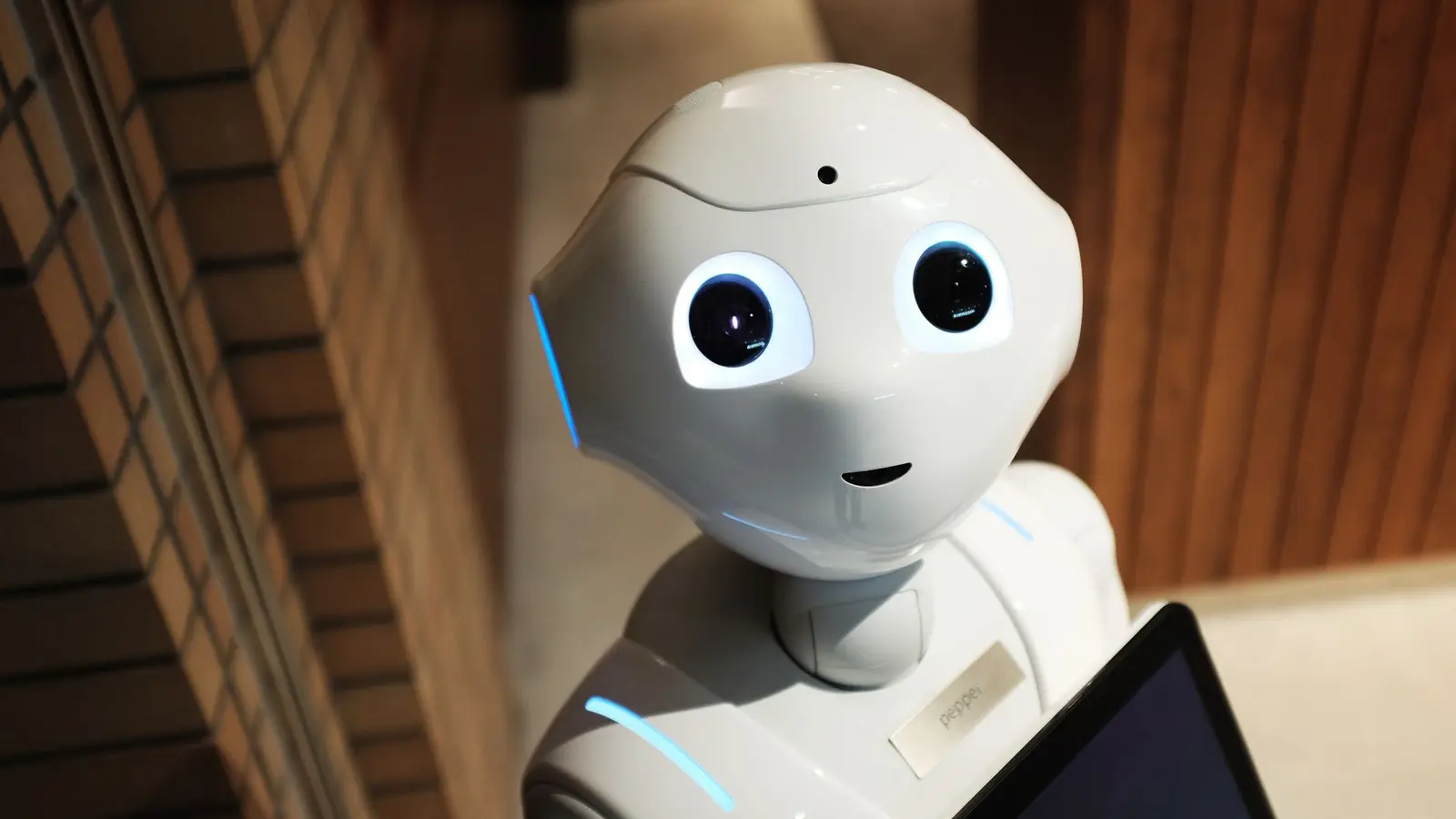 Artificial intelligence software