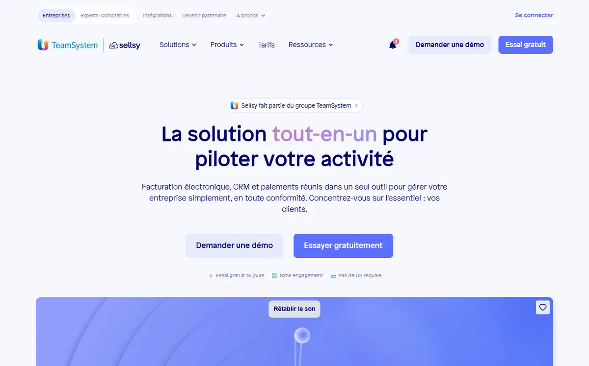 Site officiel de Sellsy