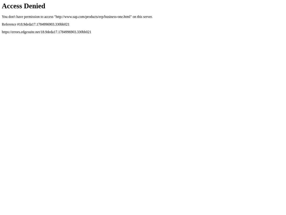 SAP Business One interface
