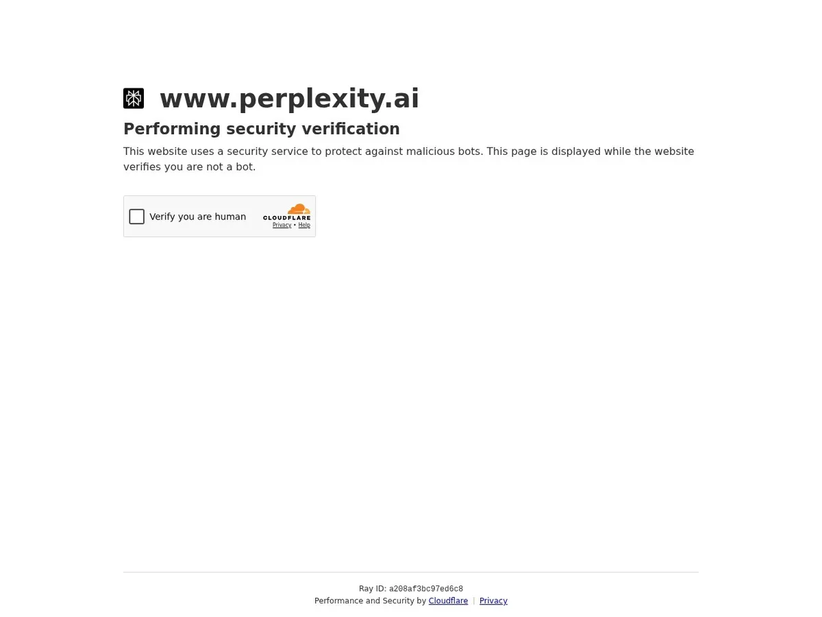 Perplexity interface