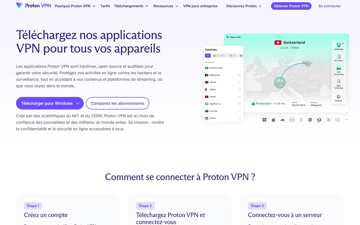 Proton VPN en detail